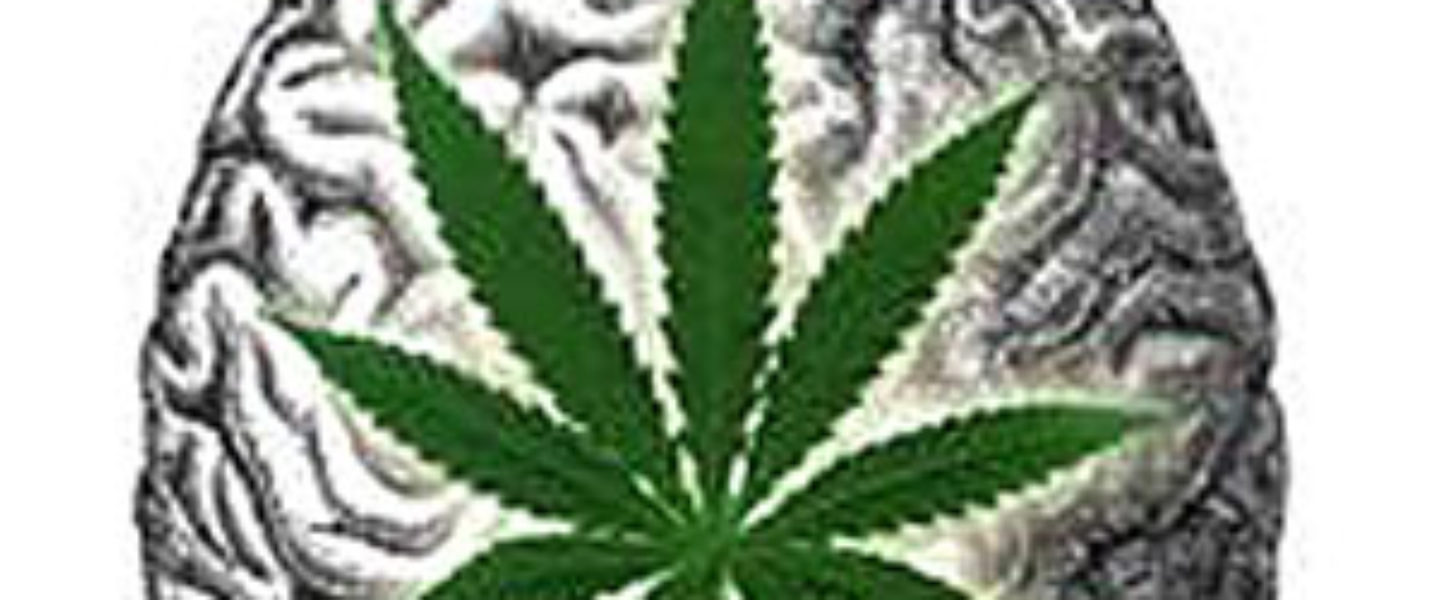 marijuana, lower, IQ, cannabis
