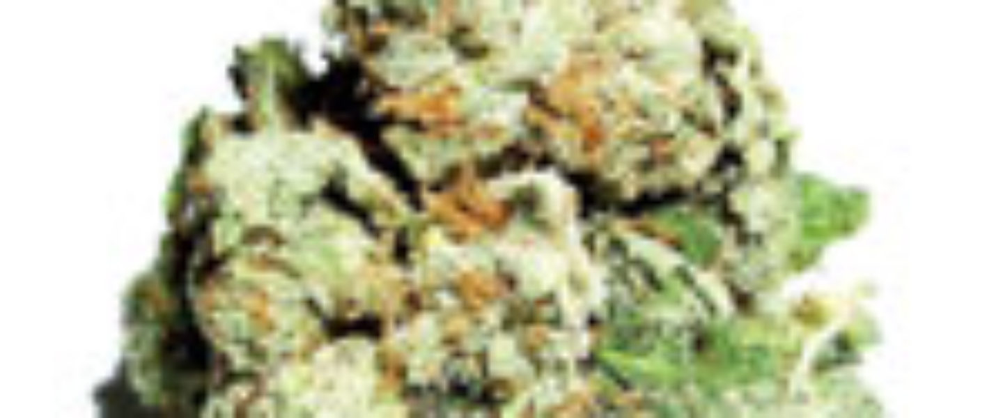 Dank Marijuana Strain and Edible Review Number Nine The Weed Blog