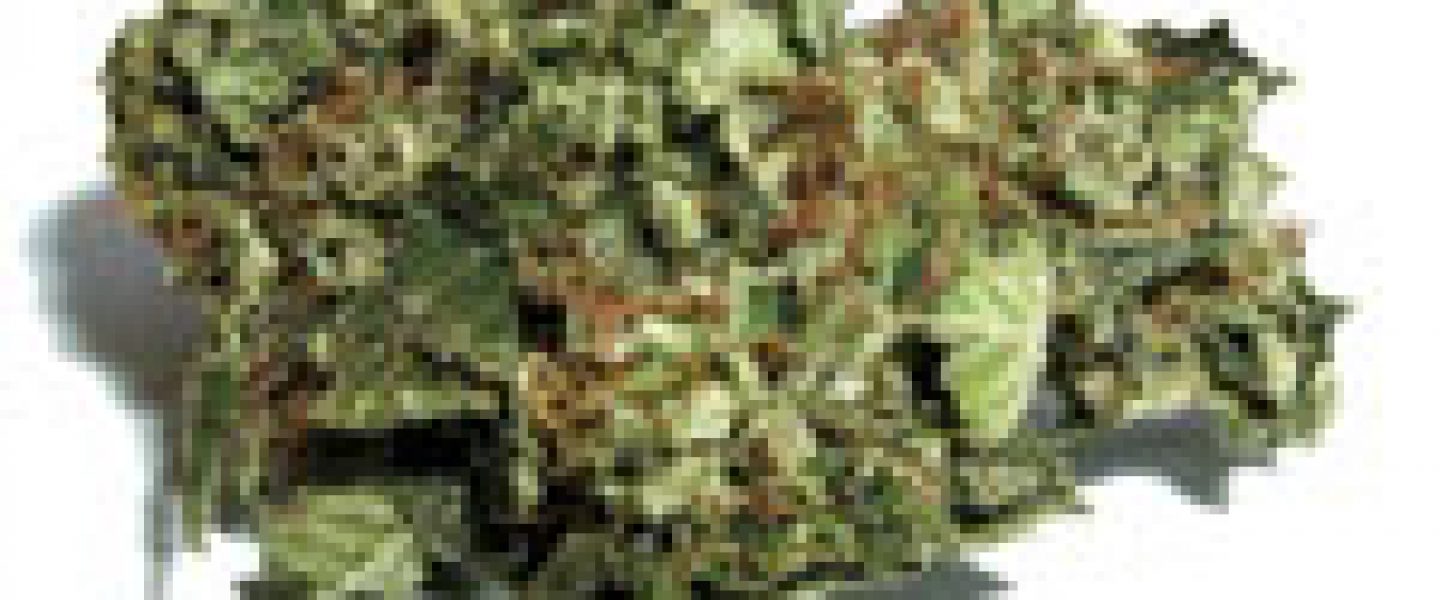 OG Afghani Marijuana