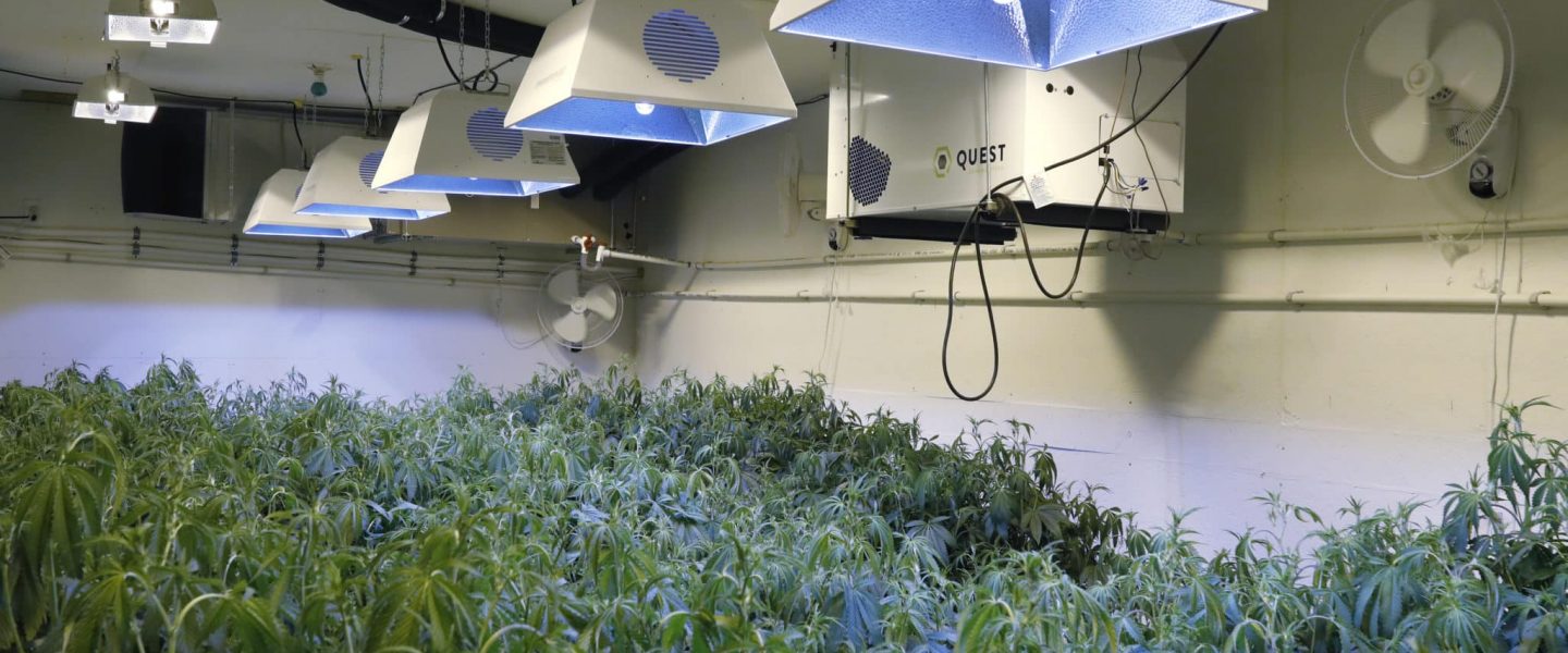 Grow Room Climate Control