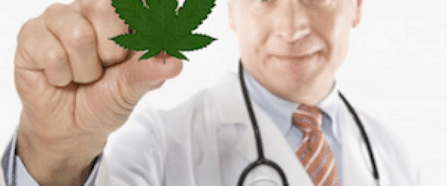 pot doctor