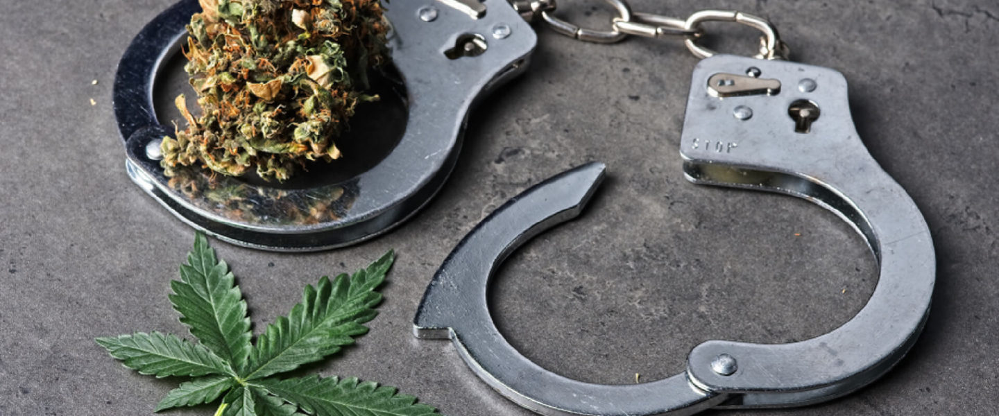 Cannabis Pardons 2021 Status Update