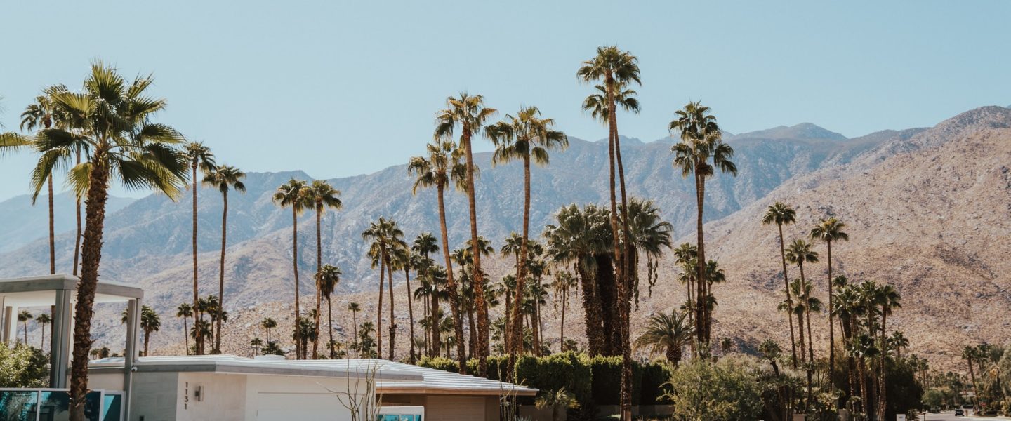 Top Cannabis Products for Delivery in Palm Springs