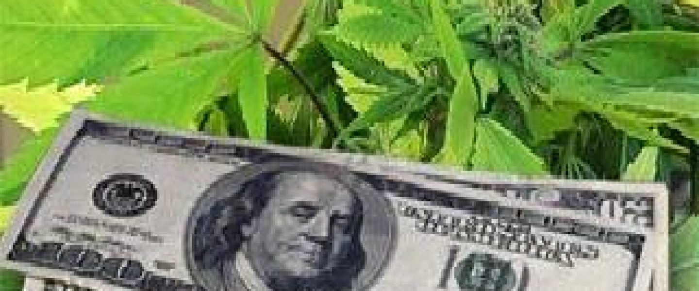 cannabis marijuana tax taxpayer cost prohibition