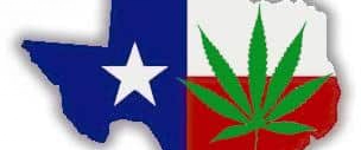 texas norml region conference marijuana cannabis