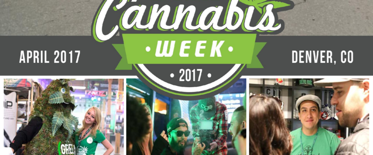 world cannabis week
