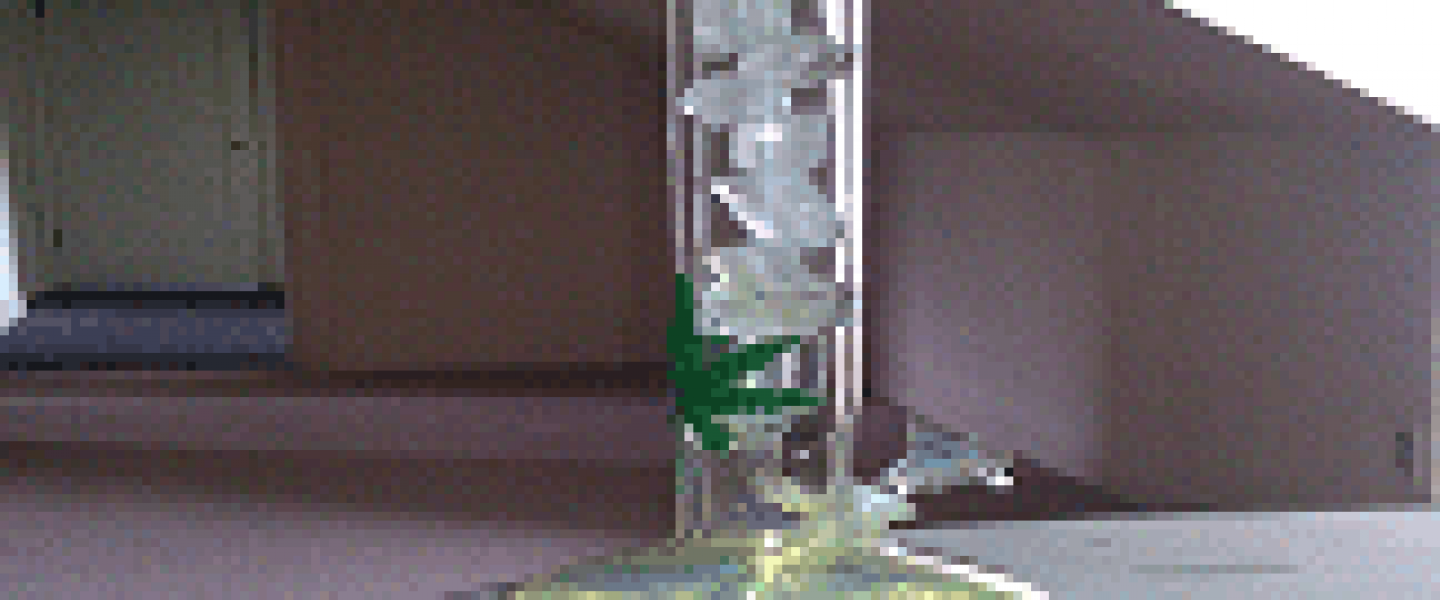 Weed Leaf Bong Thumbnail