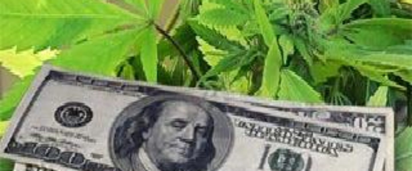 Cash cost of legal marijuana uruguay colorado washington