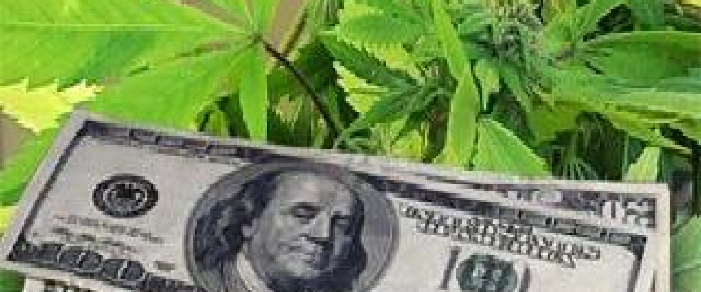 marijuana industry profit potential growing