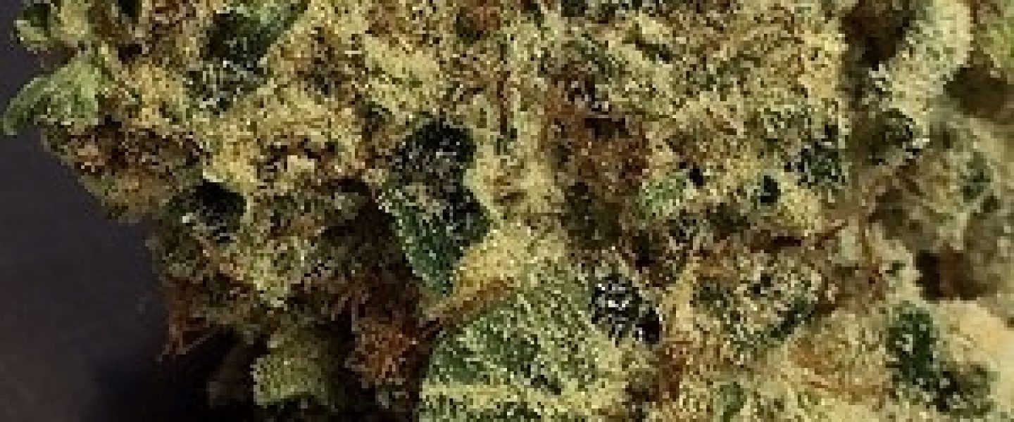 afgoo marijuana strain