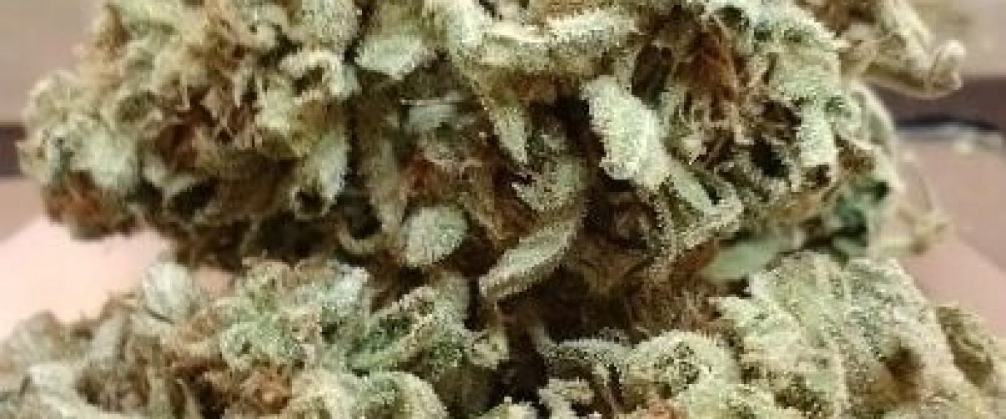 afgooey marijuana strain