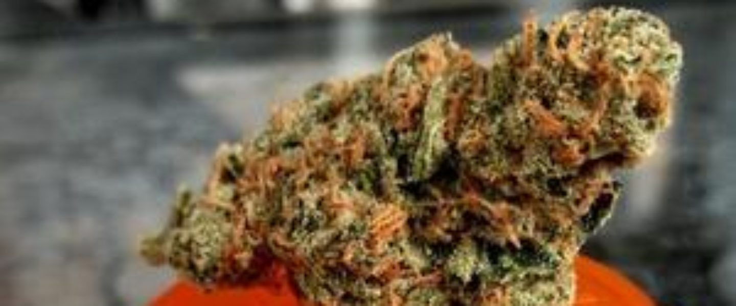 Agent Orange Marijuana Strain Review And Pictures The Weed Blog