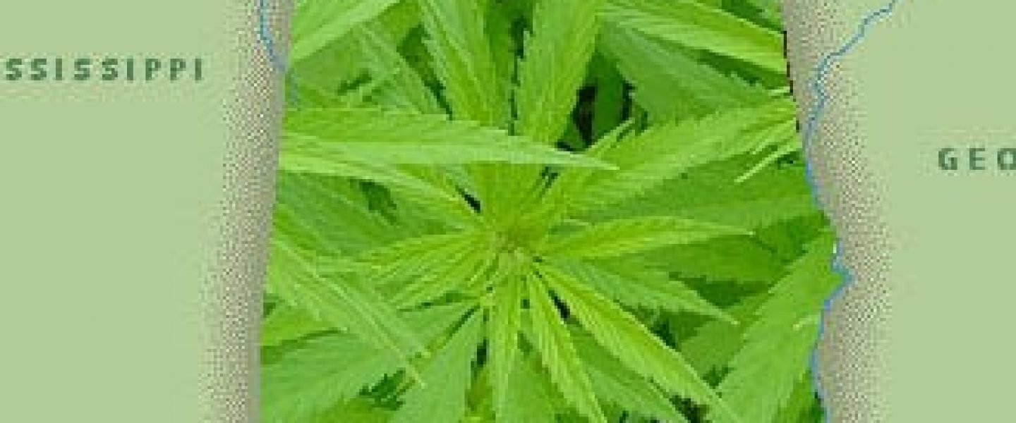 Alabama Cannabis and Hemp Reform Act of 2013