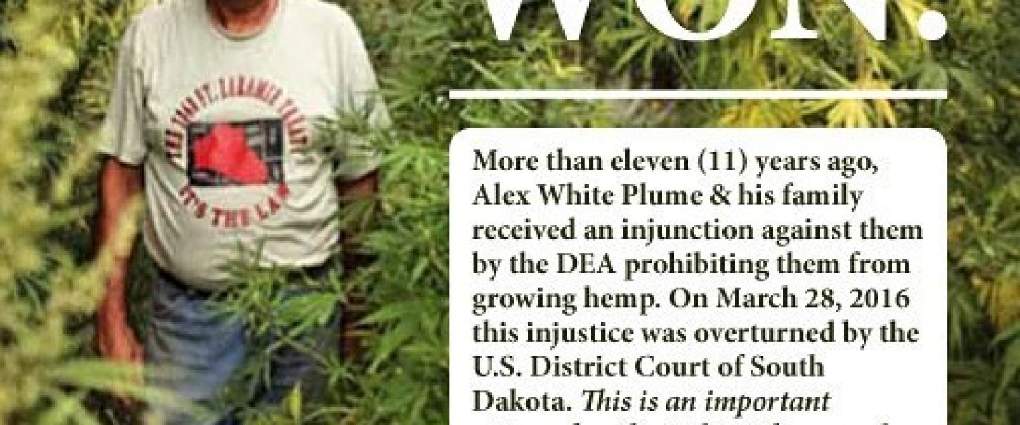 alex white plume hemp