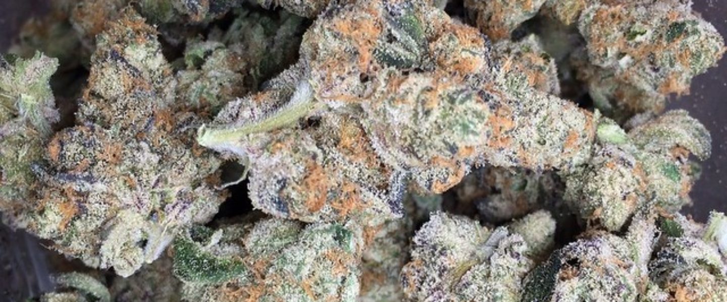 Animal Cookies Marijuana Strain Review And Pictures The Weed Blog