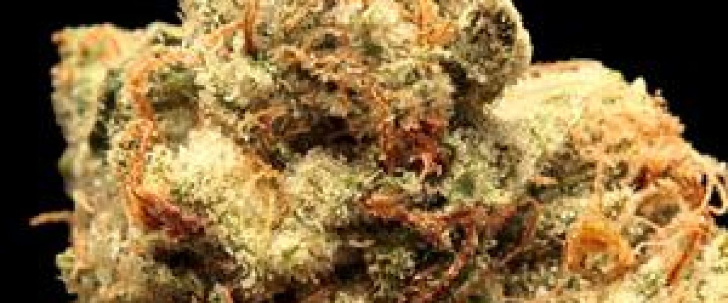 birthday cake marijuana strain