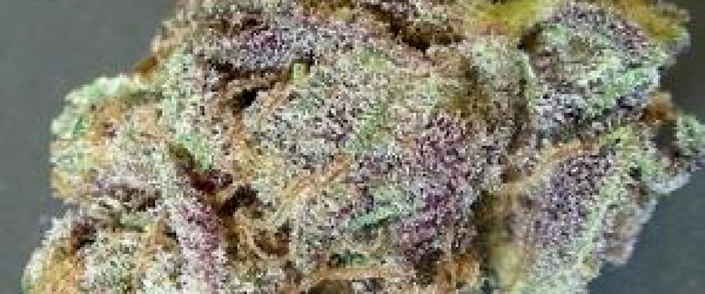 black domina marijuana strain