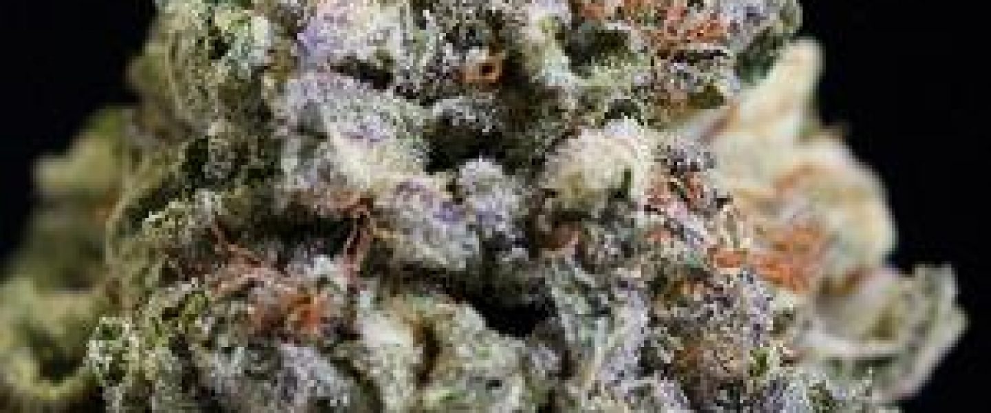 blue dragon marijuana strain