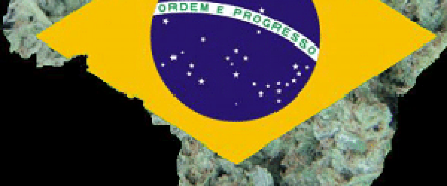 brazil marijuana