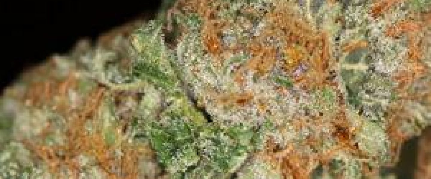 bubba daddy marijuana strain