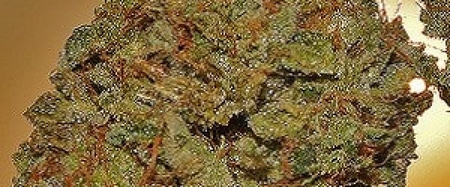 butter og marijuana strain