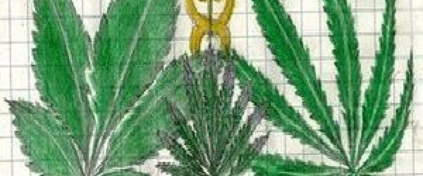 cannabis quilt 2012