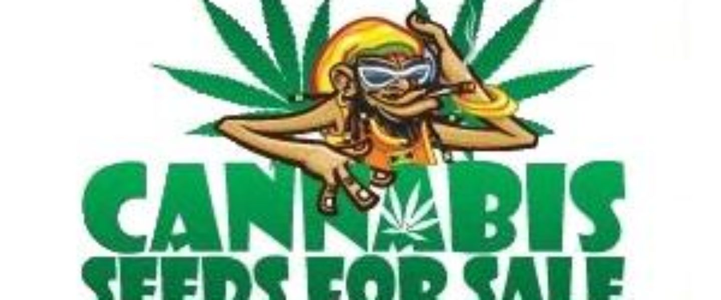 cannabis seeds for sale