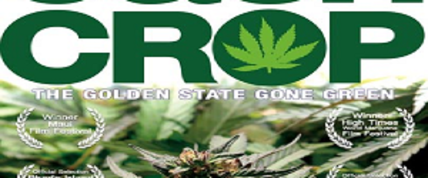 cash crop - the golden state gone green marijuana