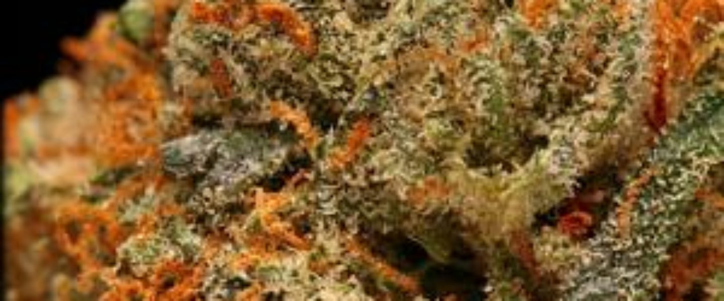 charlie sheen marijuana strain