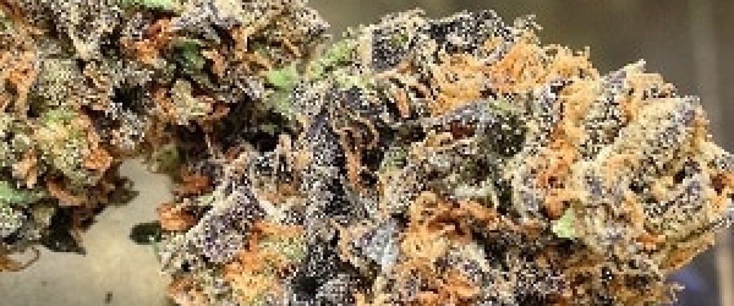 cherry pie og marijuana strain