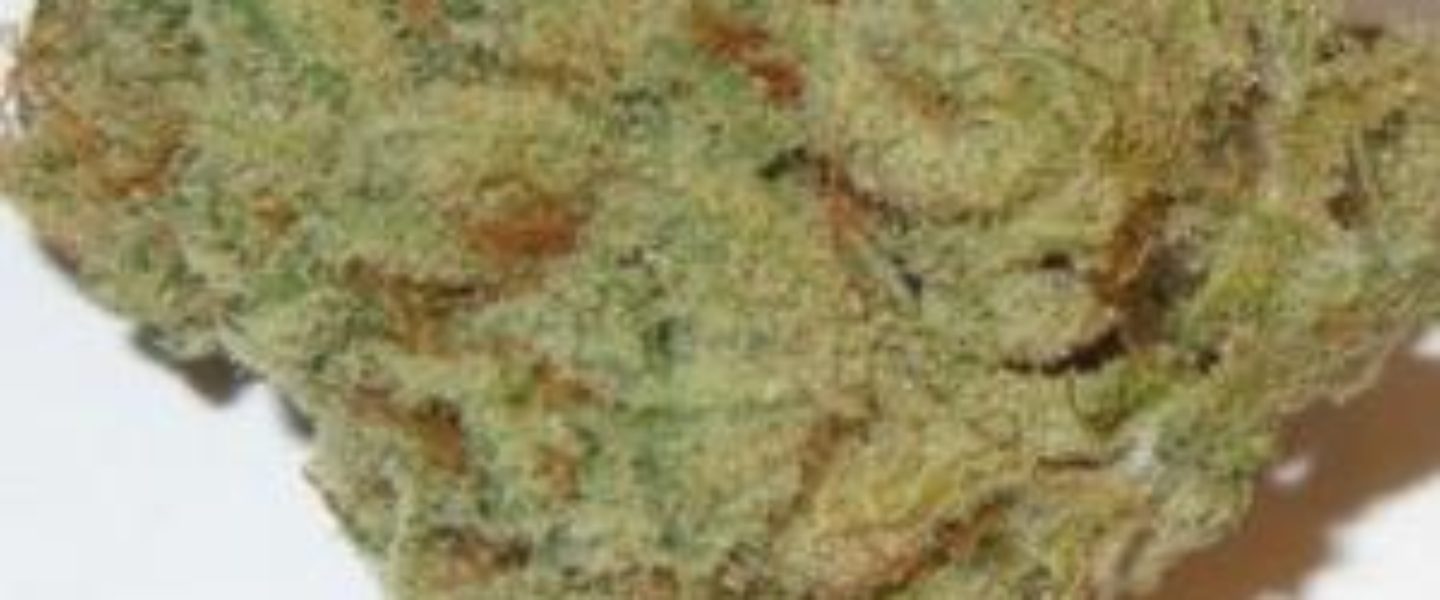 chocolope marijuana strain, marijuana slang