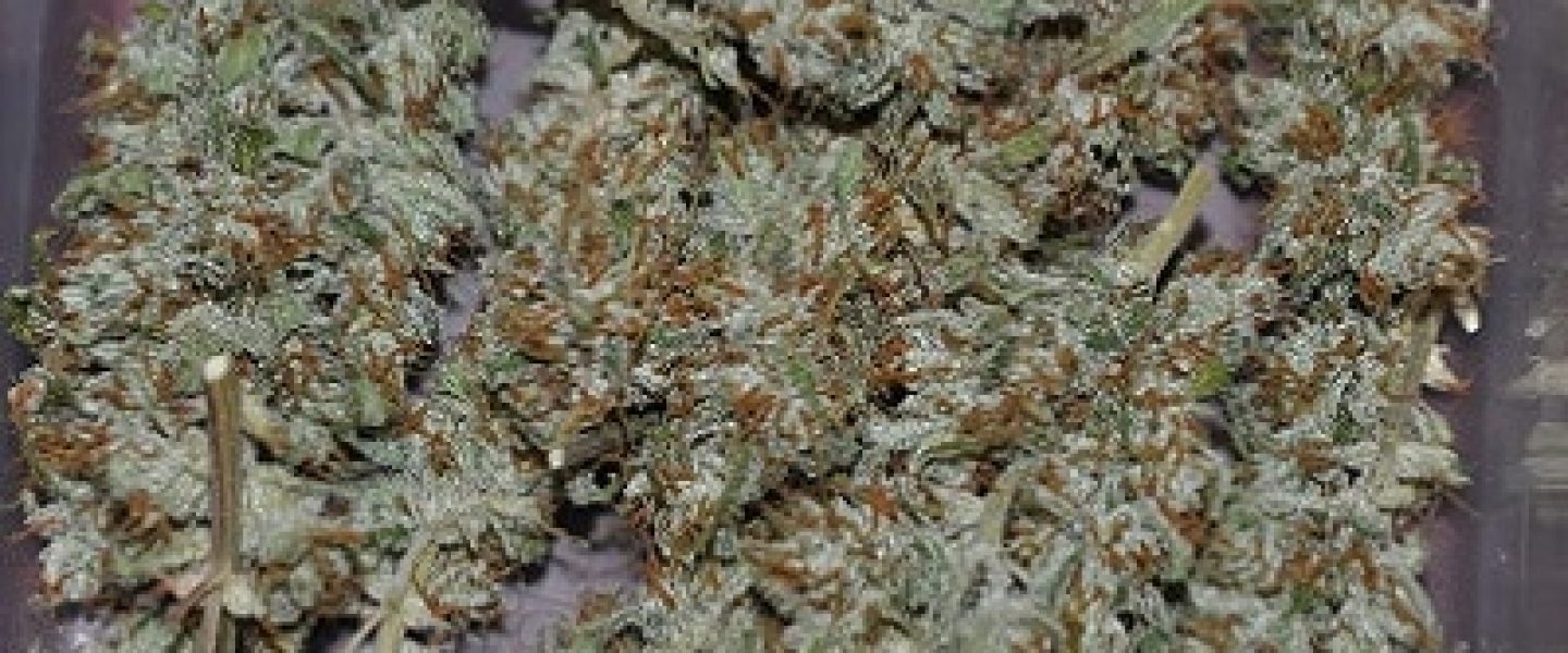 cinderella marijuana strain