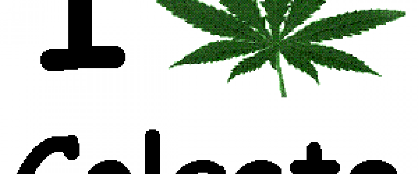 colgate university weed