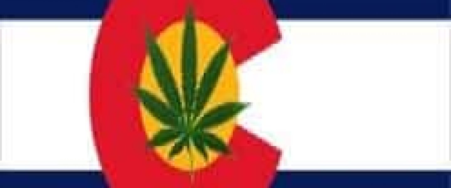 Colorado flag leaf