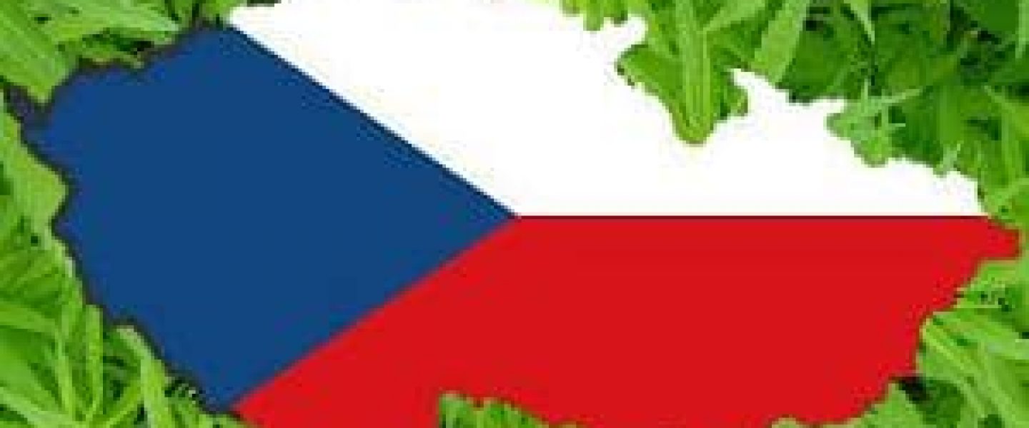 Czech medical marijuana pharmacies