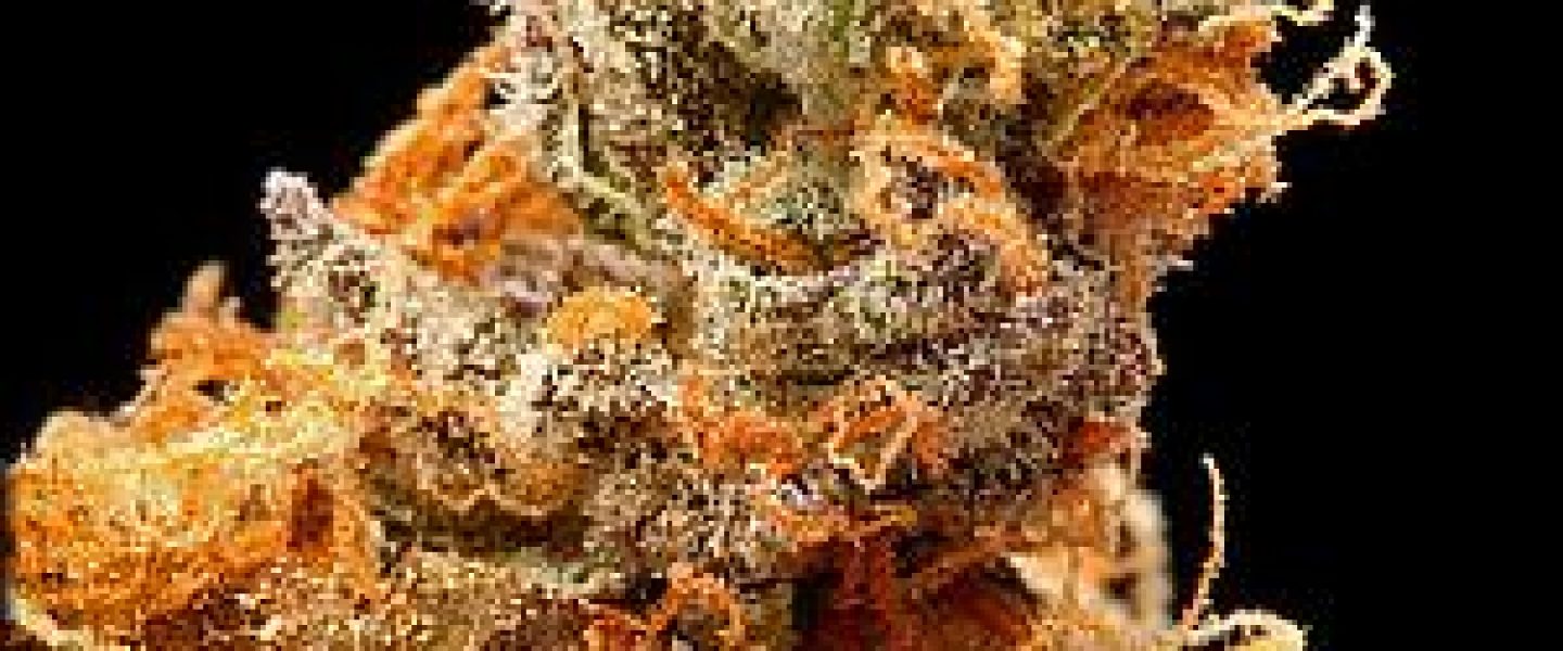 darth vader marijuana strain