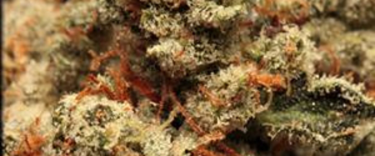 deathstar marijuana strain