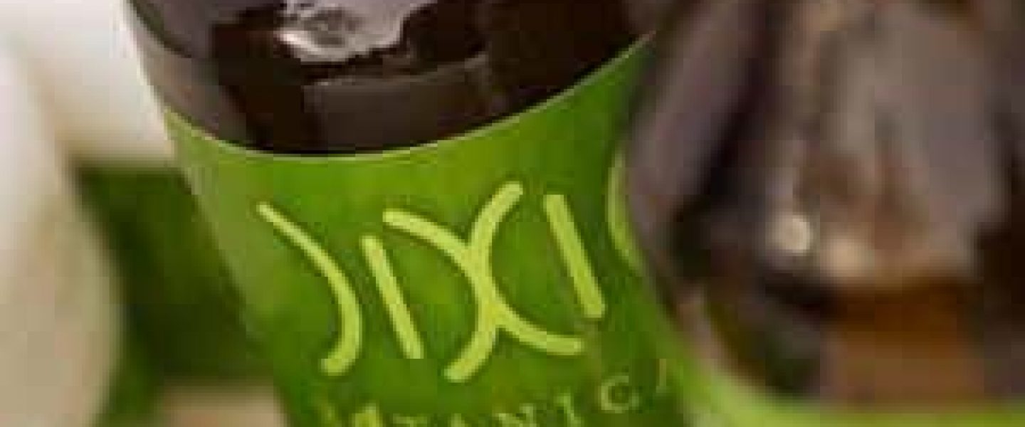 dixie botanicals elixirs