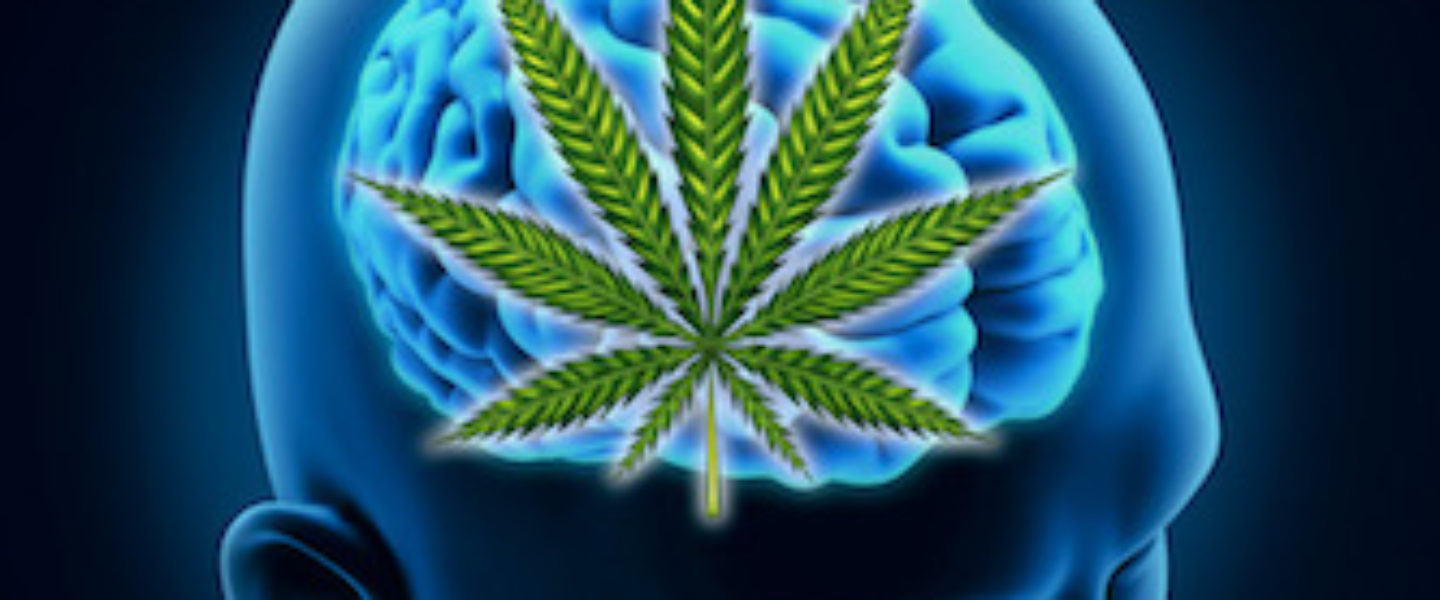 dt_150608_brain_marijuana_cannabis_800x600jpg
