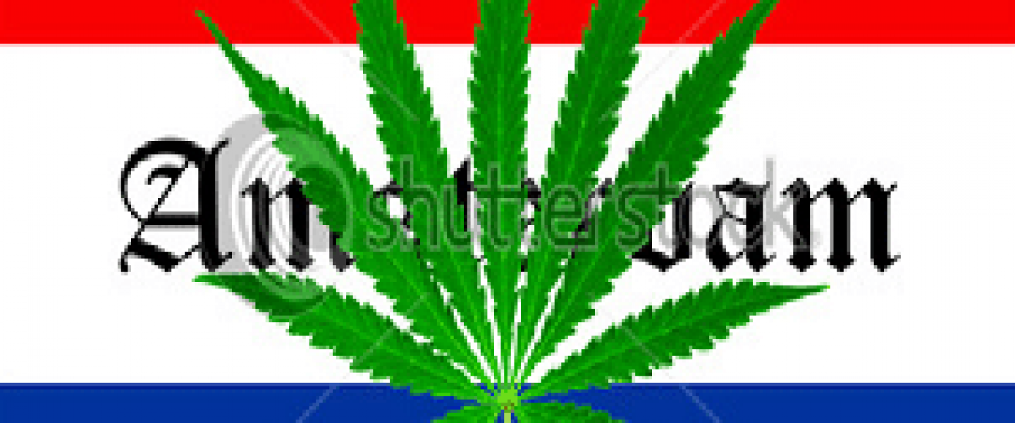 dutch 420 dutch 420
