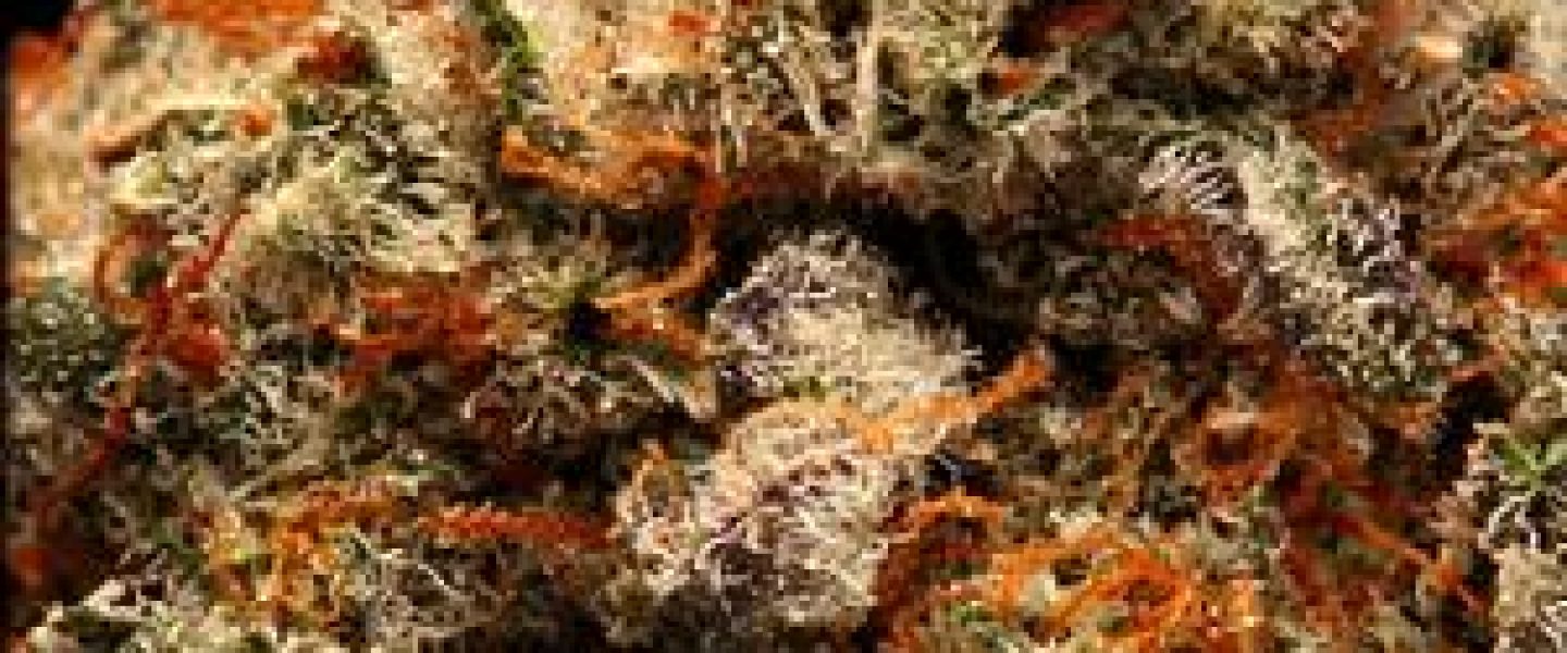 exotic berry marijuana strain