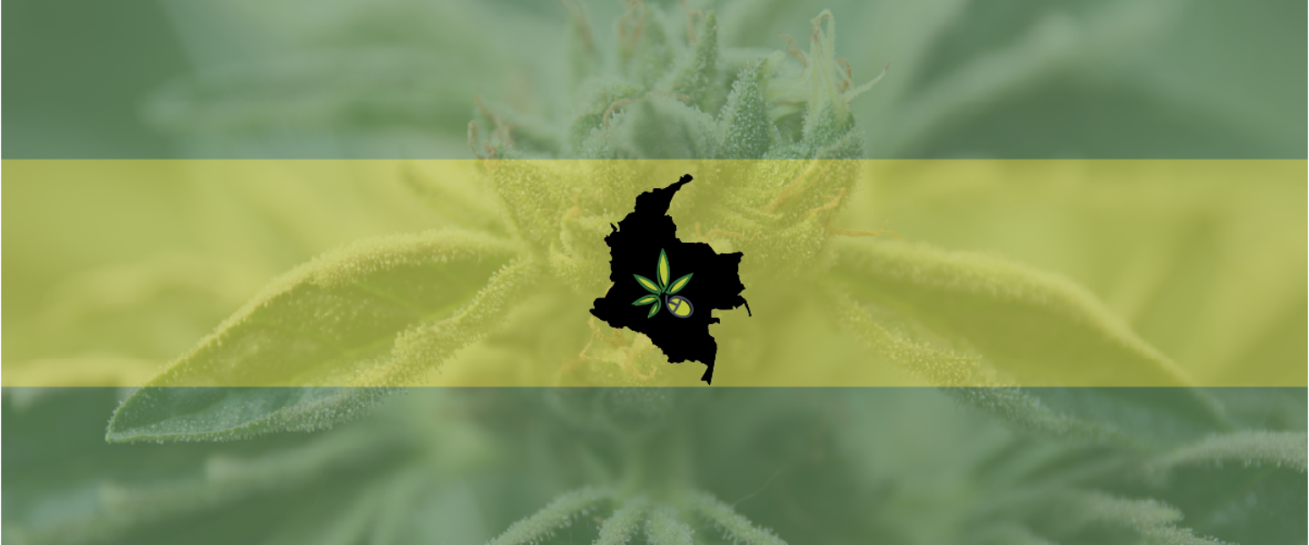 Picture of a marijuana plant and the country of Colombia—South American cannabis cultivator Flora began trading on the Nasdaq.