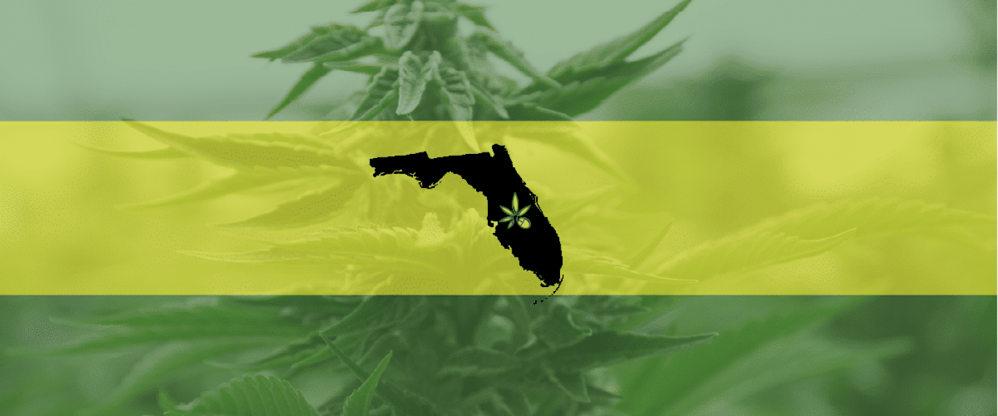 Image of the Florida state outline on top of an outdoor marijuana plant—Florida is likely to expand medical and recreational weed protections.