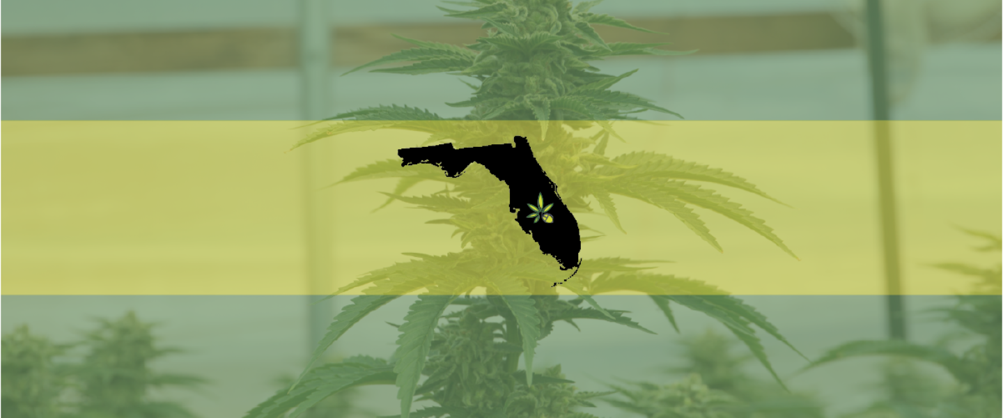 Picture of the state of Florida over a flowering cannabis plant—Florida Supreme Court has ruled against a ballot initiative to legalize weed.