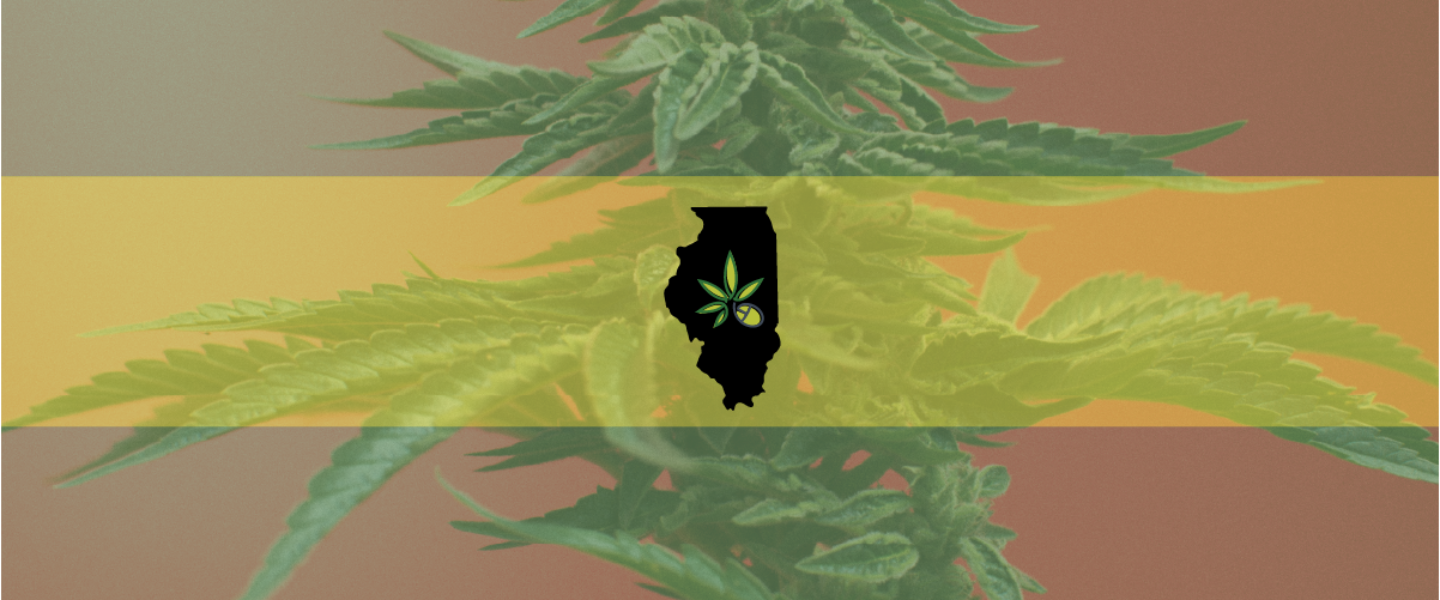 State of Illinois over the background of a marijuana plant—Illinois Recreational cannabis sales have hit a record high.