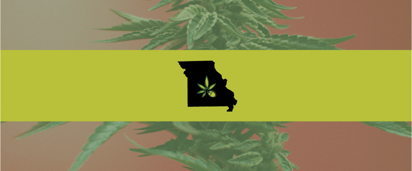 Picture of the state of Missouri in front of a weed plant background—Missouri legislators are considering a bill that would ban discrimination against parent medical marijuana patients involved in custody cases.