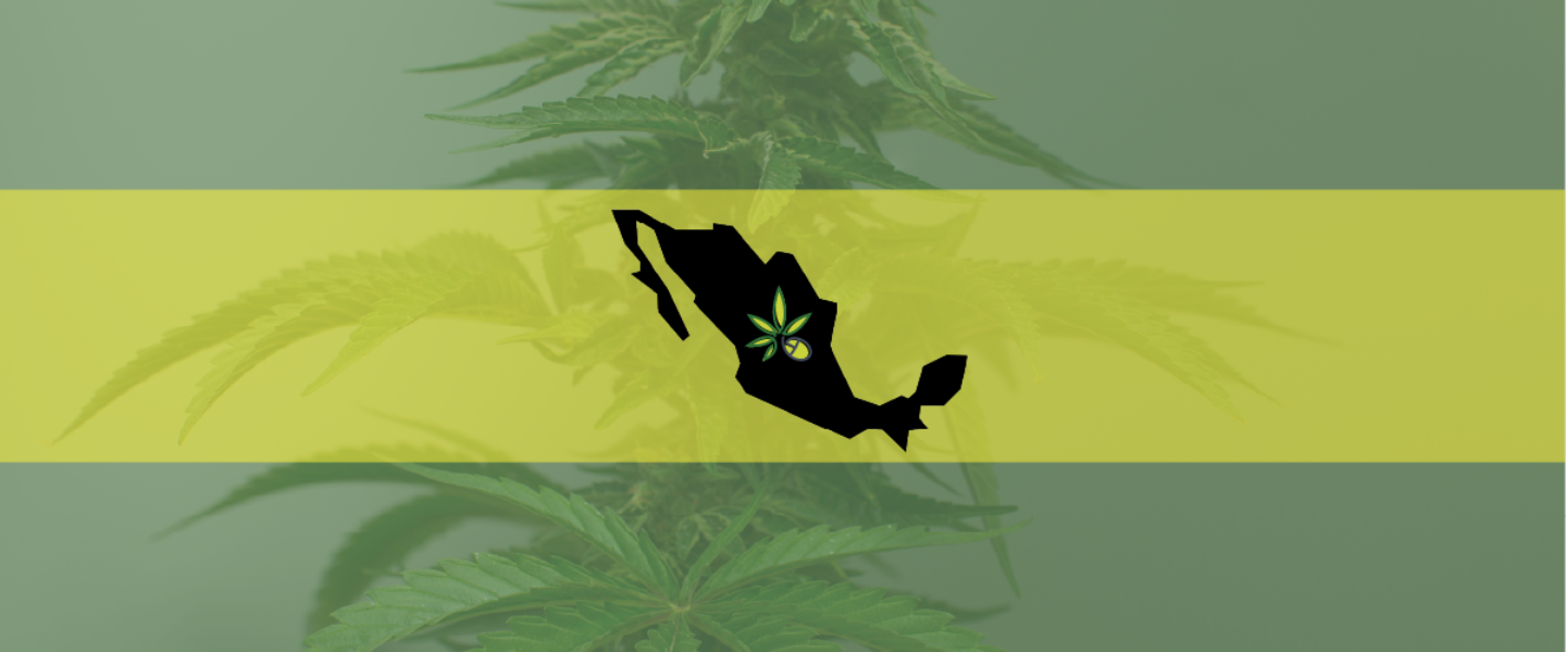 Image of a Mexico icon—Mexico is on the brink of rolling out an adult-use marijuana industry.