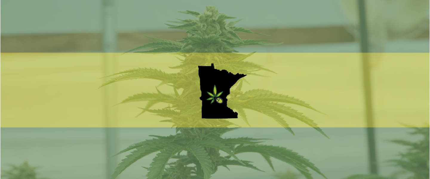 Picture of the state of Minnesota in front a cannabis plant—the Minnesota Legislative Committees have cleared a recreational marijuana bill.