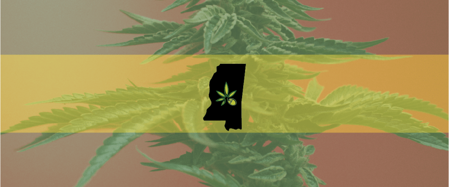 State of Mississippi over the background of a flowering cannabis plant—Mississippi Supreme Court will hear arguments for and against the medical legalization bill.