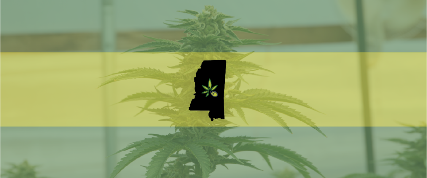 Image of the state of Mississippi over a marijuana plant background—the state will have to wait for a Supreme Court ruling before Initiative 77 can be be passed into law.